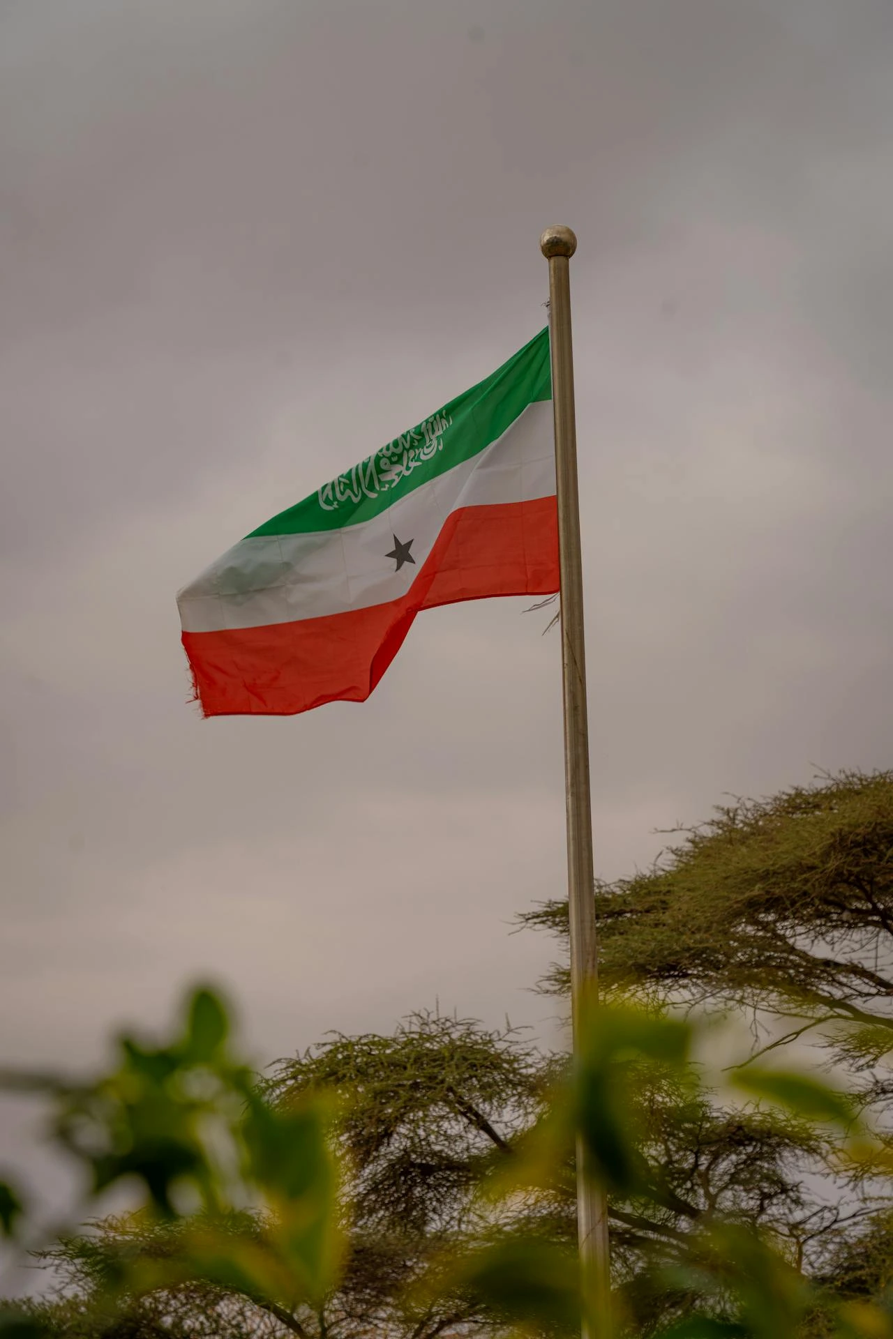 "somaliland flag flying"